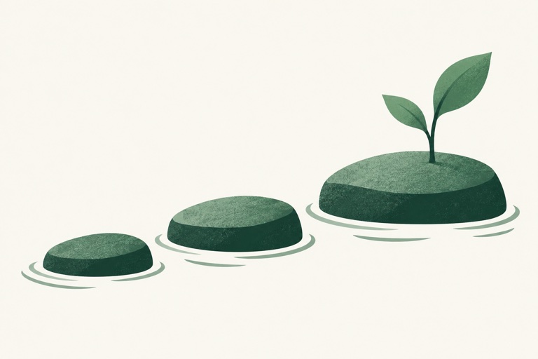 Three broad stepping stones becoming progressively larger, with a single small sprout on the last stone.